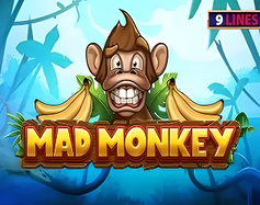 Mad Monkey image