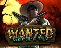 Wanted Dead Or A Wild image