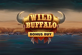 Wild Buffalo Hold n Link Bonus Buy image