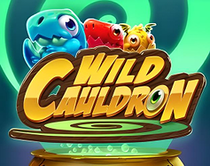 Wild Cauldron image