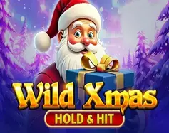 Wild Xmas Hold and Hit image
