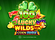 100 Lucky Wilds Hot Coin Boost Logo
