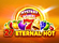 27 Eternal Hot Logo