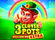 3 Clover Pots Extra Logo
