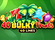40 Bulky Fruits Logo
