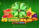 40 Lucky Wilds Hot Coin Boost Logo