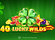 40 Lucky Wilds Hot Golden Coins Link Logo