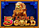 5 Lions Gold Logo