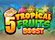 5 Tropical Fruits Boost Logo