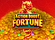 Action Boost Fortune Logo