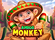 Amigo Monkey Logo