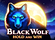Black Wolf Hold and Win Logo