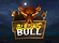 Blazing Bull Logo
