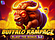Buffalo Rampage Blast The Bonus 3x3 Logo