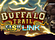 Buffalo Trail Cash Mesh LINK Logo