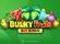 Bulky Fruits Buy Bonus Logo