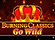 Burning Classics Go Wild Logo