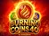 Burning Coins 40 Logo