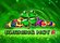 Burning Hot 6 Reels Logo