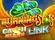 Burning Slots Cash Mesh LINK Logo