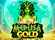 Cash Flip Medusa Gold Logo