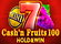 Cash n Fruits 100 Hold And Win Logo