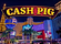 Cash Pig Logo