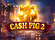 Cash Pig 2 Logo