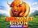 Coin Nonet Bison 3x3 Hold and Win Logo