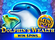 Dolphins Wealth Win Spins Logo