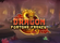 Dragon Fortune Frenzy Logo
