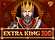 Extra King 100 Logo