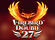 Firebird Double 27 Logo