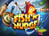 Fish n Nudge Logo