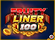 Fruityliner 100 Logo