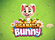 Giga Match Bunny Logo