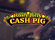 Holly Jolly Cash Pig Logo