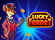 Lucky Ferret Logo