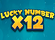 Lucky Number x12 Logo