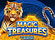 Magic Treasures Tiger Logo
