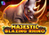 Majestic Blazing Rhino Logo