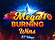 Mega Burning Wins Logo