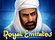 Royal Emirates Logo