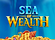 Sea of Wealth Logo