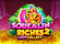 Squealin Riches 2 Logo