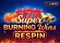 Super Burning Wins Respin Logo