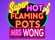 Super Hot Flaming Pots Mrs Wong Logo