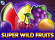 Super Wild Fruits Logo