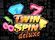 Twin Spin Deluxe Logo