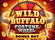 Wild Buffalo Fortune Wheel Bonus Buy Logo